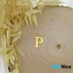 آویز گردنبند طلا 18 عیار طرح P (کد DN-P0071)