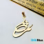 آویز گردنبند طلا 18 عیار طرح ثمر Samar