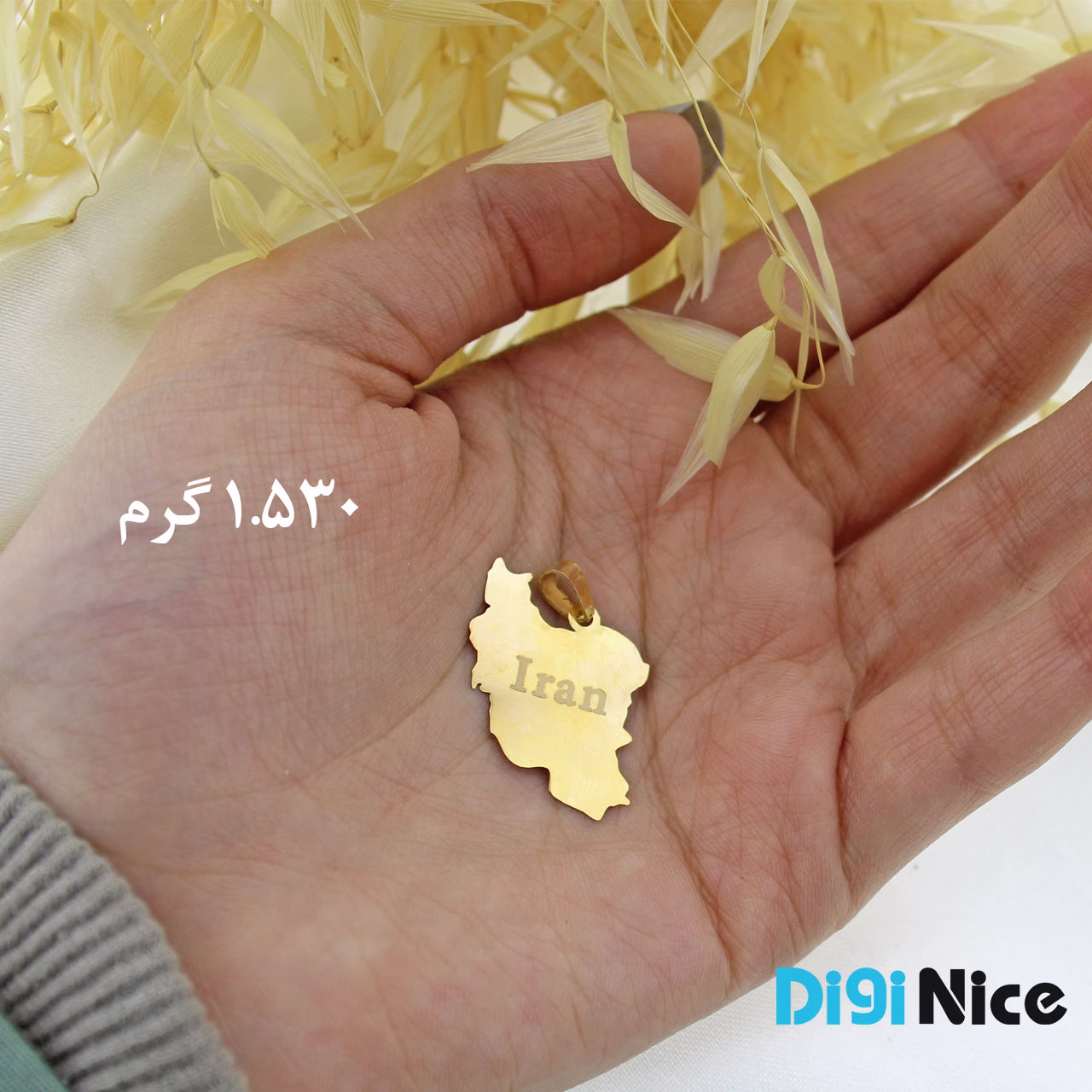 گردنبند طلا 18 عیار طرح ایران کد DN-P1113